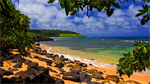 Fond d'écran gratuit de OCEANIE - Hawai numéro 58886